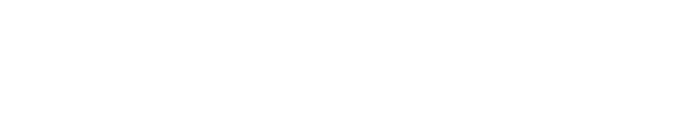 Bocini